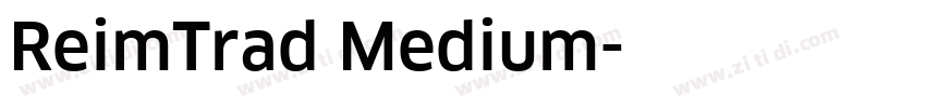 ReimTrad Medium字体转换